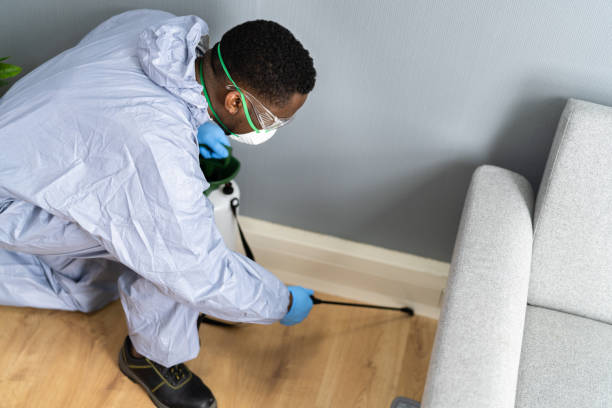 Professional Pest control in Olivehurst, CA